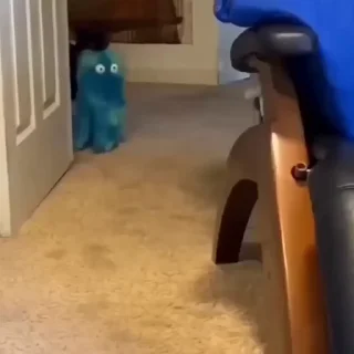 🐈