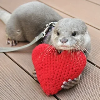 ❤️