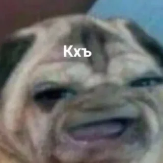 👅