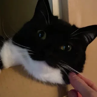 😏