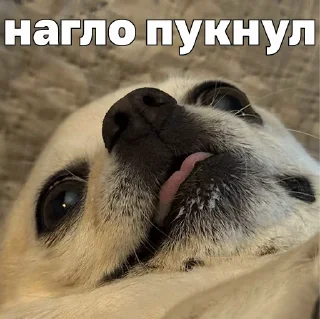 ☠️