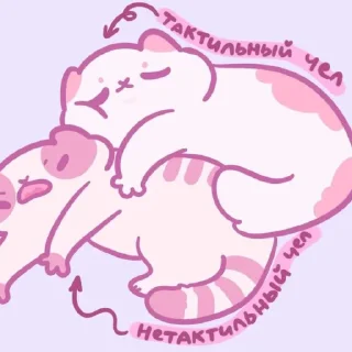 💗