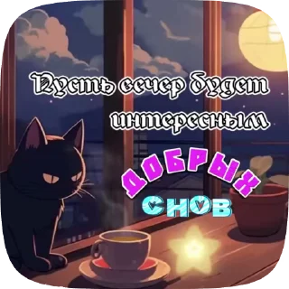 🌜