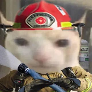 👨‍🚒