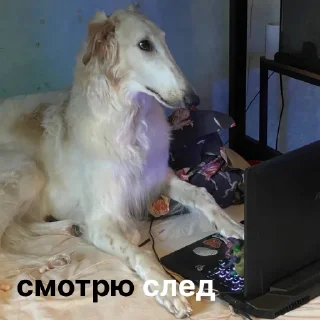 🎥