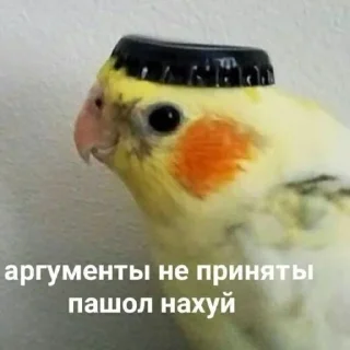 🦜