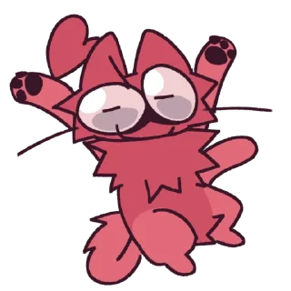 🐱