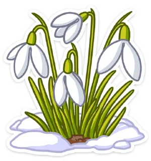 💐