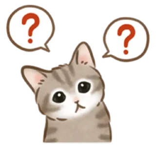 🐱