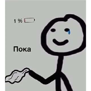 😿
