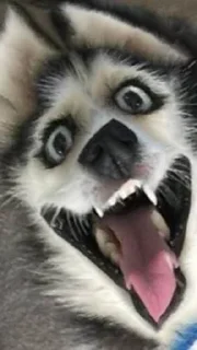 😃