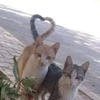 ❤️