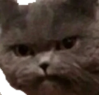 😠