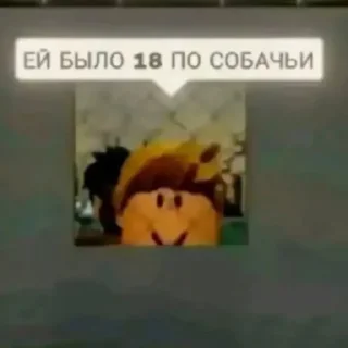 🐶