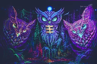 🦉