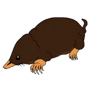 🐭