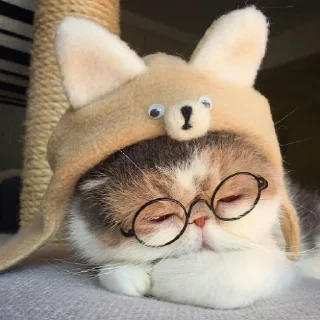 😴