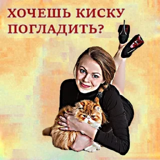 🐱