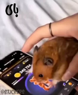 👋