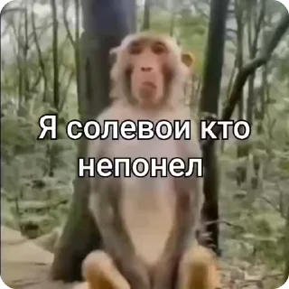 👹