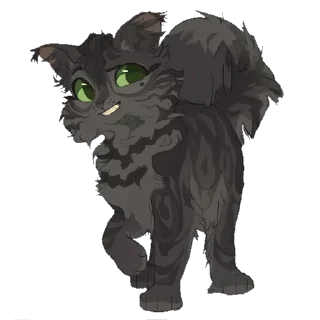 🐱