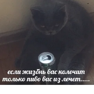 🍻