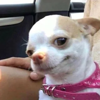 😬