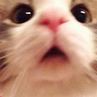 😳