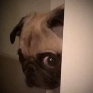 👀
