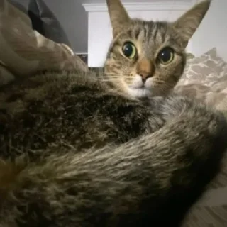 😮