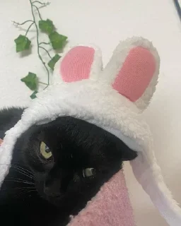 😑