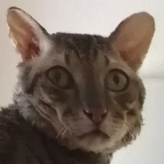 😐