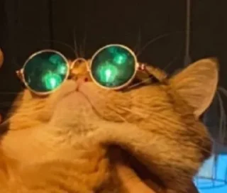 😎