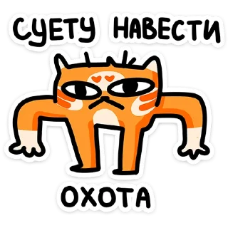 ⭐