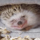 😄