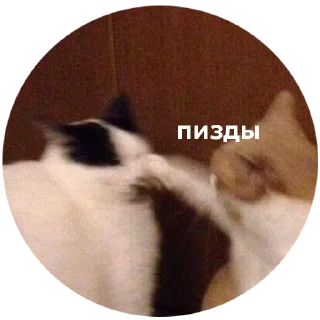 👊