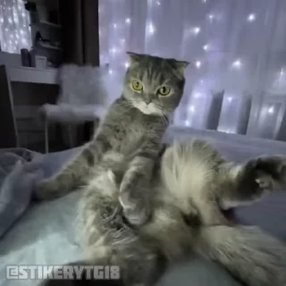 🥴