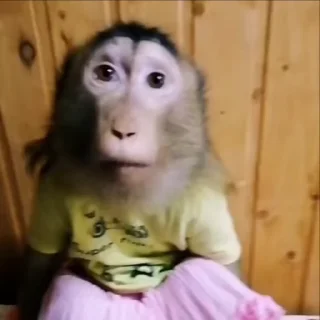 🤷‍♀️