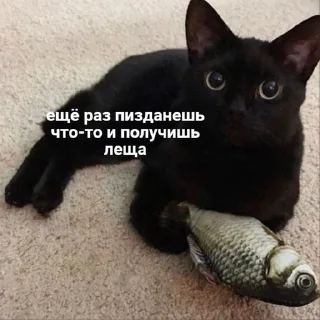 😡
