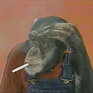 🚬