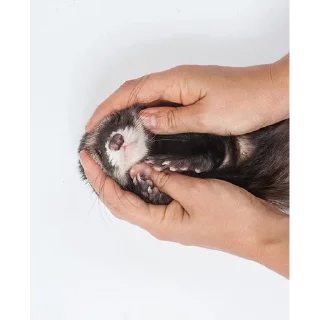 🤲