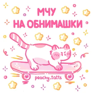 🐈
