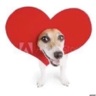 ❤️