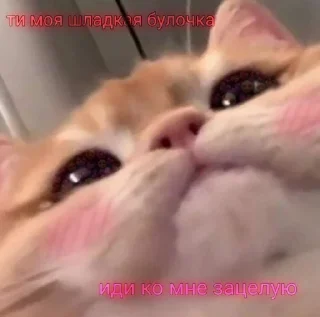 🥰