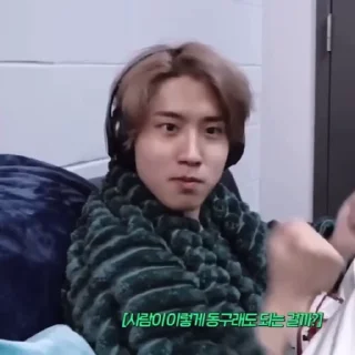 🎋
