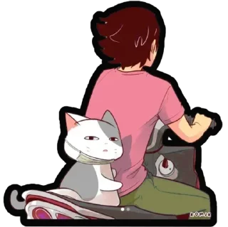 🐈
