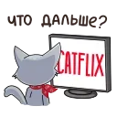 🎬
