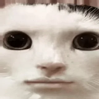 😡