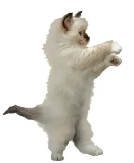 🕺