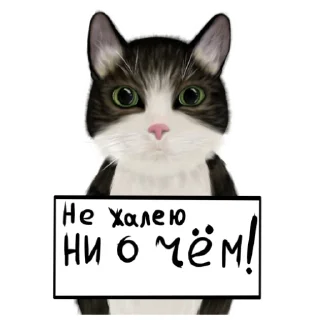 😤